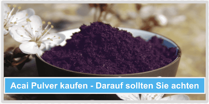 Schüssel mit Bio Acai Pulver Acai Pulver kaufen Darauf sollten Sie achten Abbild