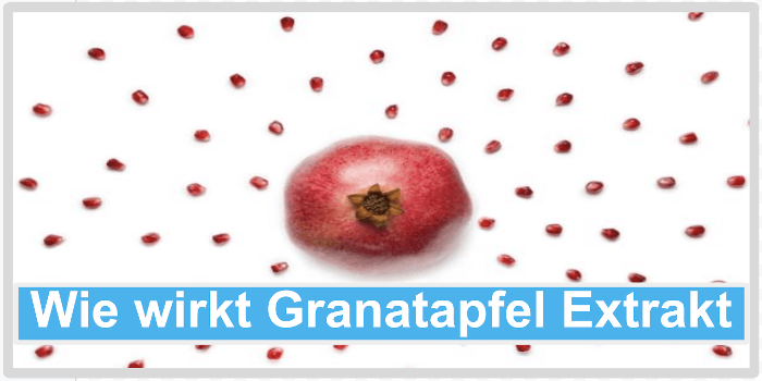Wie wirkt Granatapfel Extrakt Abbild