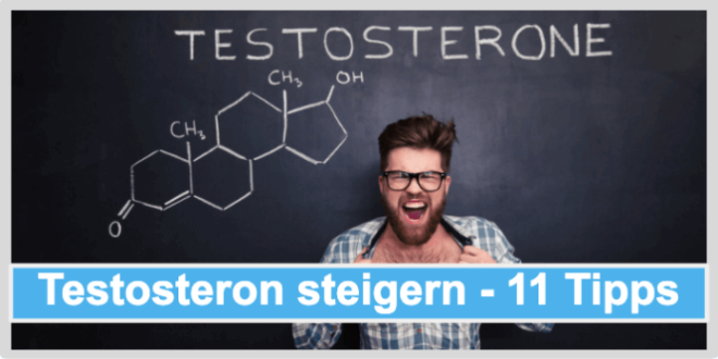 Testosteron steigern Die 11 besten Tipps