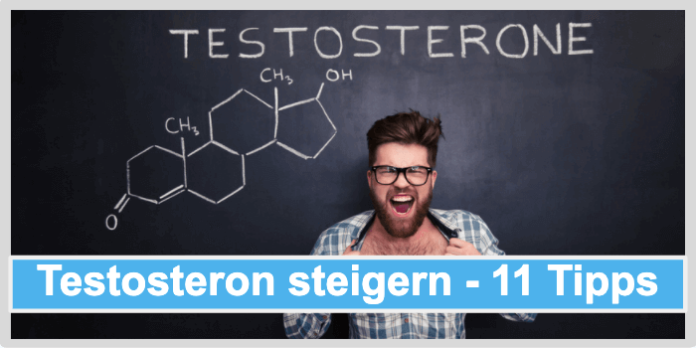 Testosteron steigern Titelbild