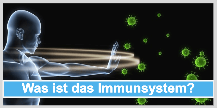 Was ist das Immunsystem