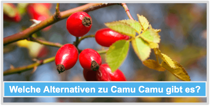 Camu Camu Alternativen
