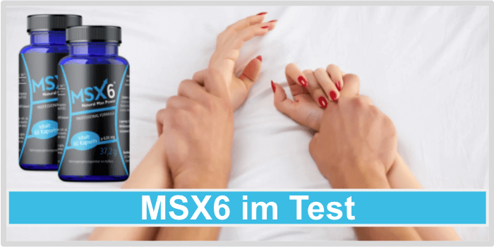 MSX6 Titelbild