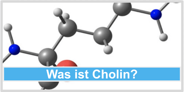 Was ist Cholin