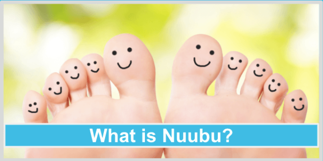 What-is-Nuubu-660x330.png