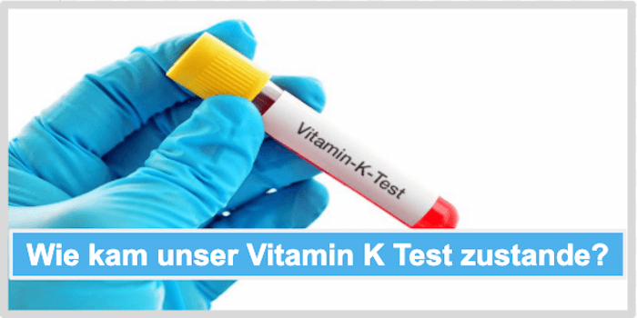 Wie kam unser Vitamin K Test zustande