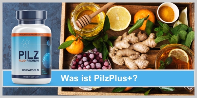 pilz plus obst ingwer orangen immunsystem honig
