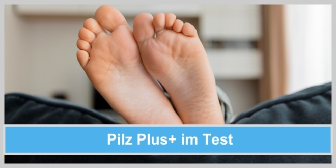Pilz Plus im Test, was hat unser Immunsystem wirklich davon?