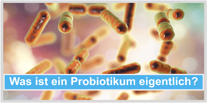 Was ist ein Probiotikum