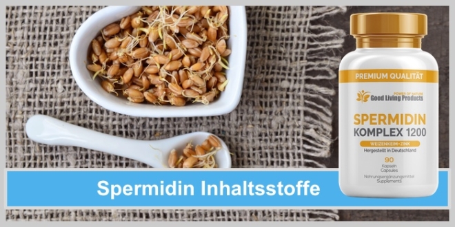 Spermidin Inhaltsstoffe: Schale und Löffel aus Keramik mit gekeimten Weizen Keimen auf einer grob gewebten Tischdecke