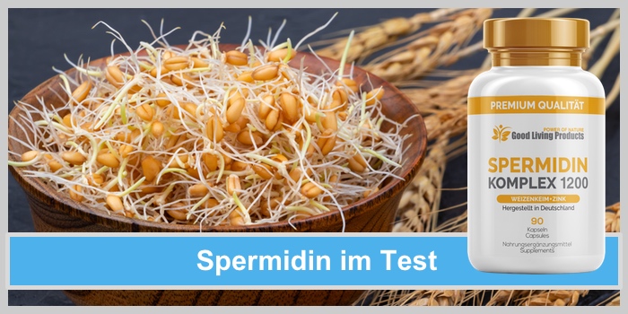 Spermidin im Test: Schale aus Holz mit gekeimten Weizen Keimen und Weizenähren
