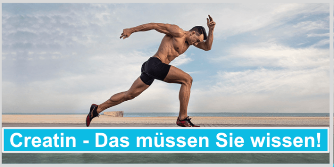 Darum ist Creatin so wichtig für Ihre Fitness - Alle Infos in unserem