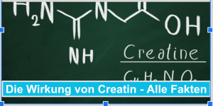 Darum ist Creatin so wichtig für Ihre Fitness - Alle Infos in unserem Beitrag!
