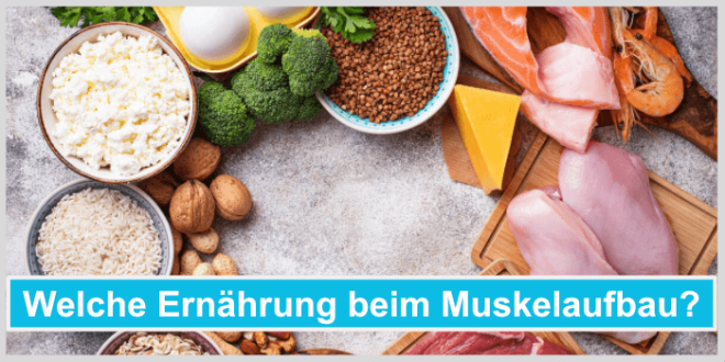 Mit Kohlenhydraten Muskeln aufbauen - Unser Ratgeber 2024