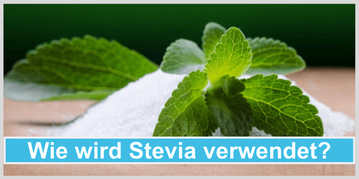 Stevia gesund Verwendung