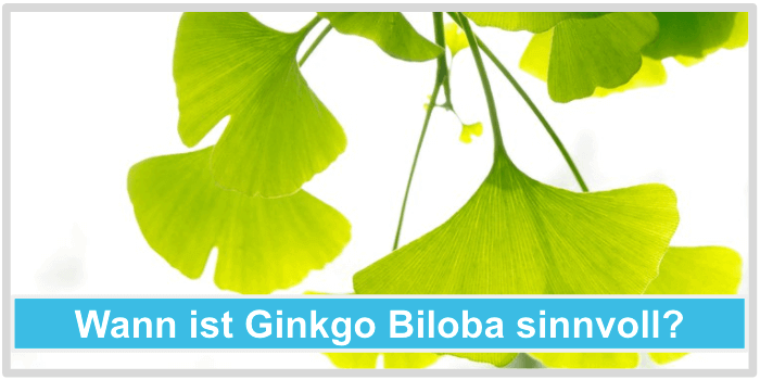 Wann ist Ginkgo Biloba sinnvoll