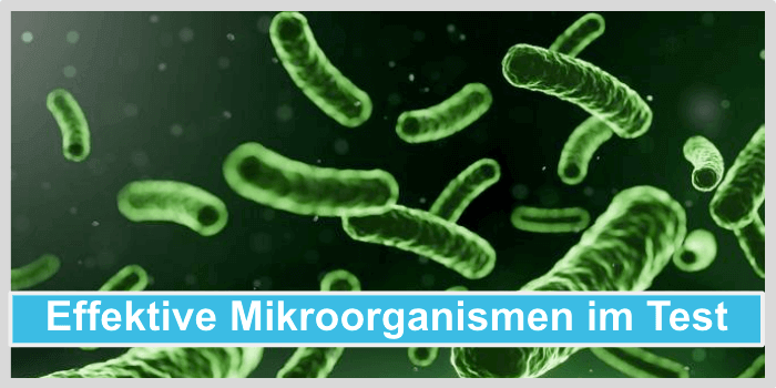 Effektive Mikroorganismen Titelbild