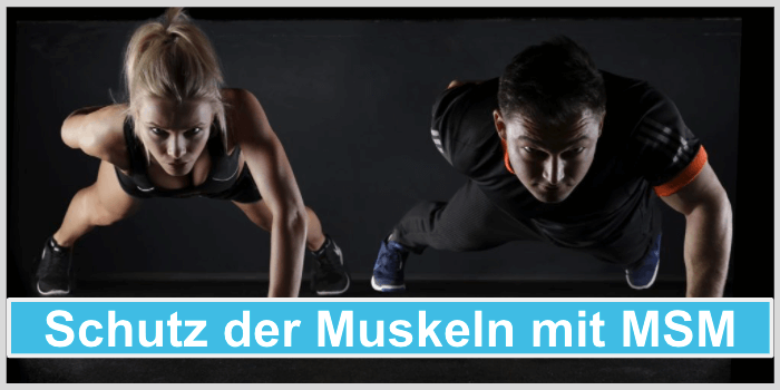 MSM Schutz der Muskeln Bild
