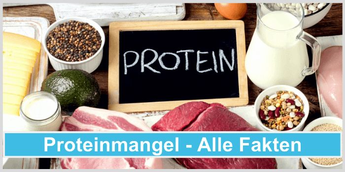 Proteinmangel Fakten Titelbild
