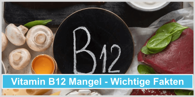 Einen Vitamin B12 Mangel Effektiv Vermeiden - Alle Fakten Im Ratgeber!