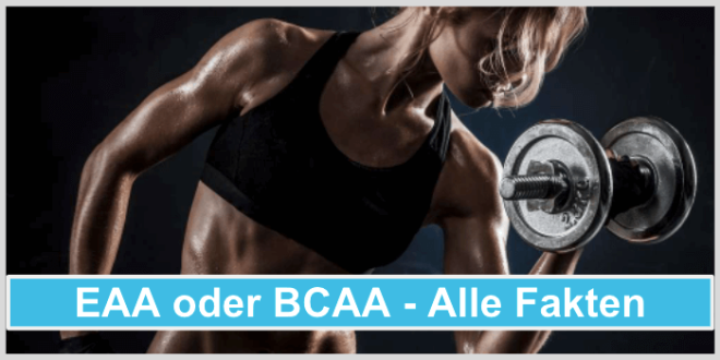 Bcaa Jeden Tag Oder Nur An Trainingstagen EAA oder BCAA - Was ist besser? - Alle Fakten in unserem Beitrag!