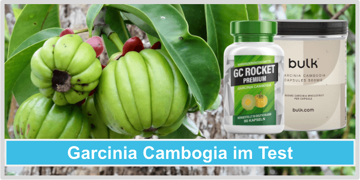 Garcinia Cambogia Titelbild