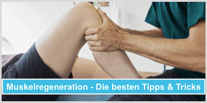 Muskelregeneration Tipps und Tricks