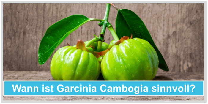 Wann ist Garcinia Cambogia sinnvoll