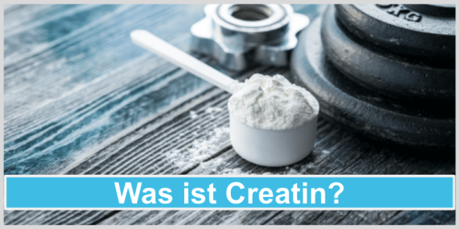 Creatin: So klappt die richtige Einnahme - Alle Fakten in unserem Ratgeber