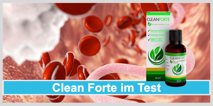 Clean Forte Titelbild