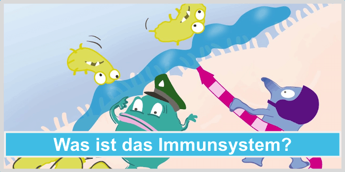 Immunsystem staerken Kinder Was ist das Immunsystem