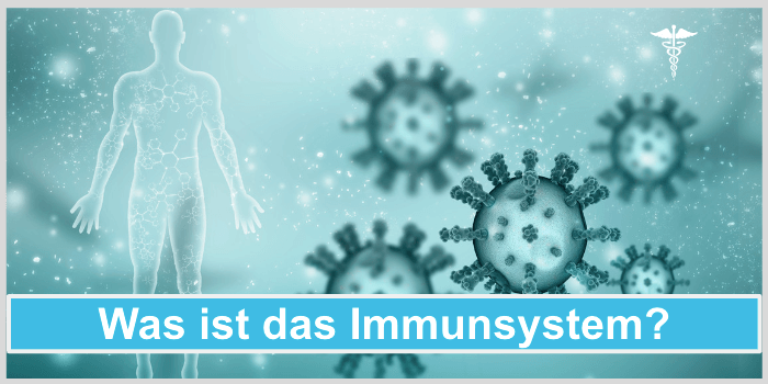 Immunsystem staerken Medikament Was ist Immunsystem