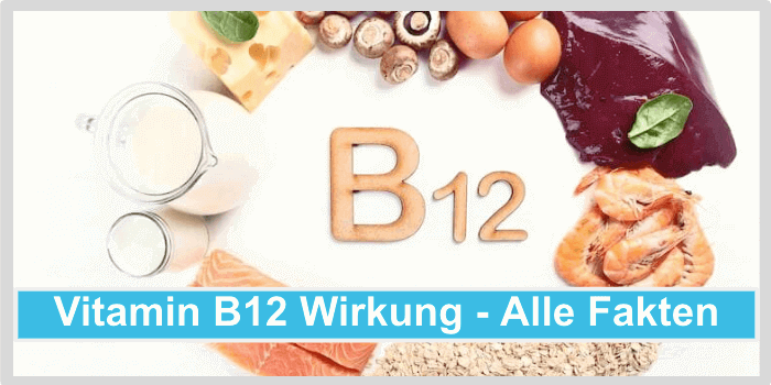 Vitamin B12 Wirkung Titelbild