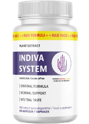 InDiva System Abbild