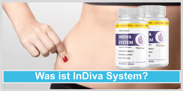 Was ist InDiva System