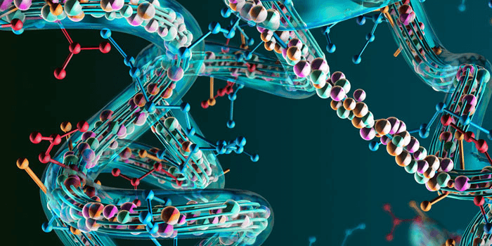 Aminosäuren Tabletten